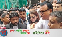 শাড়ি ‘কেলেঙ্কারি’: আত্মসমর্পণ করে জামিন পেলেন তানজিন তিশা